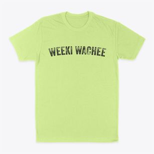 Weeki Wachee Florida Timeless Retro Classic Dad T-Shirt