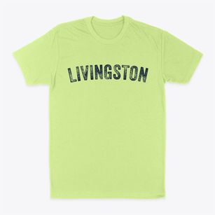 Livingston Alabama Timeless Retro Classic Dad T-Shirt