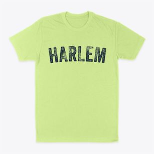 Harlem Georgia Timeless Retro Classic Dad T-Shirt
