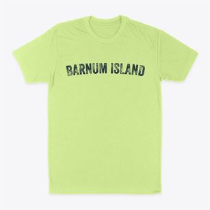 Barnum Island New York Timeless Retro Classic Dad T-Shirt