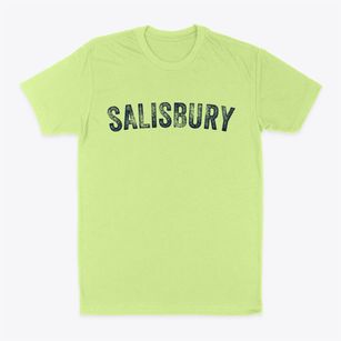Salisbury Maryland Timeless Retro Classic Dad T-Shirt