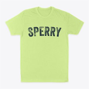 Sperry Oklahoma Timeless Retro Classic Dad T-Shirt