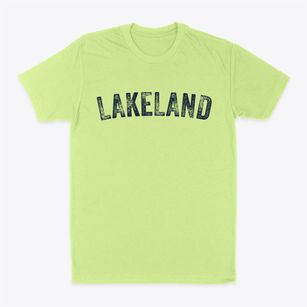 Lakeland Wisconsin Timeless Retro Classic Dad T-Shirt