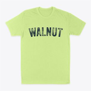 Walnut Iowa Timeless Retro Classic Dad T-Shirt