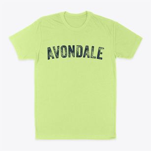 Avondale Missouri Timeless Retro Classic Dad T-Shirt