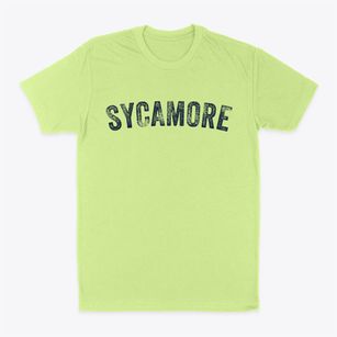 Sycamore Illinois Timeless Retro Classic Dad T-Shirt