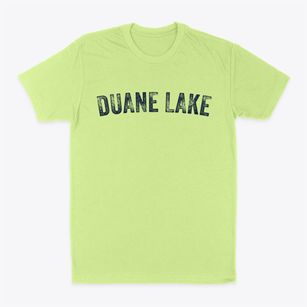Duane Lake New York Timeless Retro Classic Dad T-Shirt