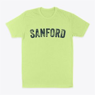 Sanford Alabama Timeless Retro Classic Dad T-Shirt