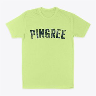Pingree North Dakota Timeless Retro Classic Dad T-Shirt
