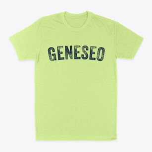 Geneseo New York Timeless Retro Classic Dad T-Shirt