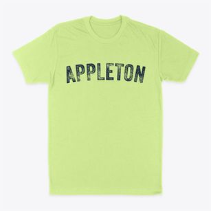 Appleton Wisconsin Timeless Retro Classic Dad T-Shirt