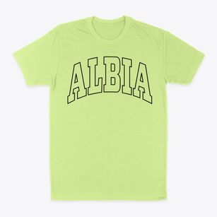 Albia Iowa Trendy Block Classic Dad T-Shirt