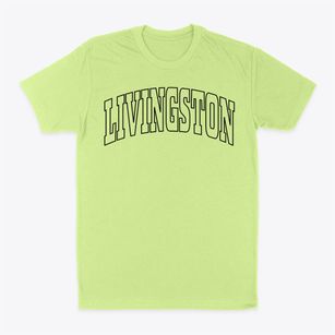 Livingston New York Trendy Block Classic Dad T-Shirt
