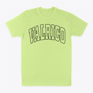 Valrico Florida Trendy Block Classic Dad T-Shirt