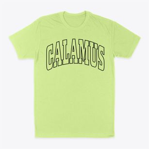 Calamus Wisconsin Trendy Block Classic Dad T-Shirt