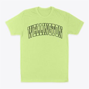 Wellington Missouri Trendy Block Classic Dad T-Shirt