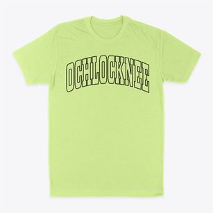 Ochlocknee Georgia Trendy Block Classic Dad T-Shirt