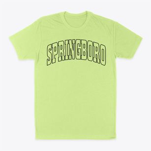 Springboro Pennsylvania Trendy Block Classic Dad T-Shirt