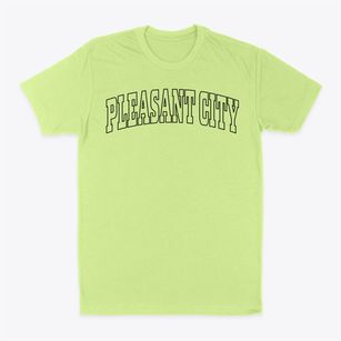Pleasant City Ohio Trendy Block Classic Dad T-Shirt