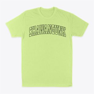 Shawangunk New York Trendy Block Classic Dad T-Shirt