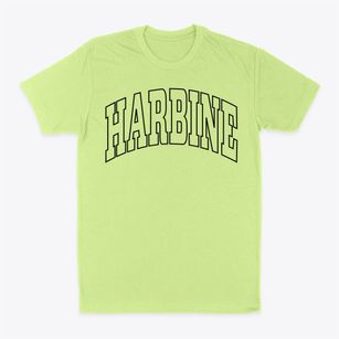 Harbine Nebraska Trendy Block Classic Dad T-Shirt