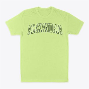 Alexandria Louisiana Trendy Block Classic Dad T-Shirt