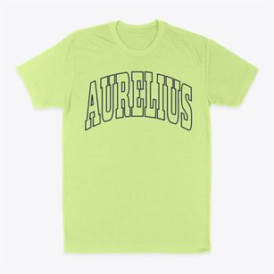 Aurelius New York Trendy Block Classic Dad T-Shirt