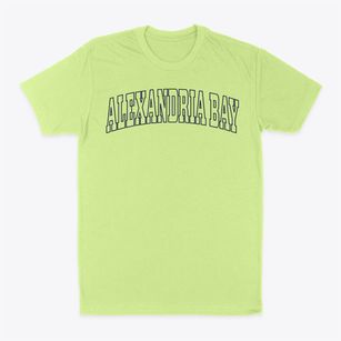 Alexandria Bay New York Trendy Block Classic Dad T-Shirt