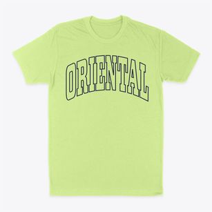 Oriental North Carolina Trendy Block Classic Dad T-Shirt