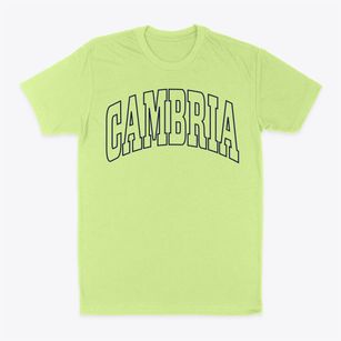 Cambria Wisconsin Trendy Block Classic Dad T-Shirt