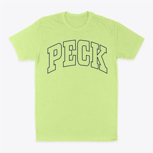 Peck Michigan Trendy Block Classic Dad T-Shirt