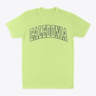 Caledonia Ohio Trendy Block Classic Dad T-Shirt