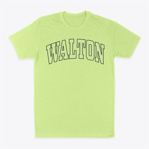 Walton Nebraska Trendy Block Classic Dad T-Shirt