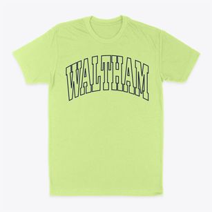 Waltham Minnesota Trendy Block Classic Dad T-Shirt