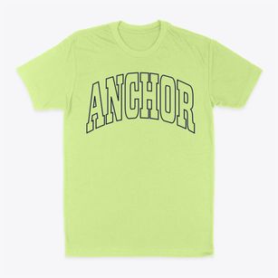 Anchor Illinois Trendy Block Classic Dad T-Shirt