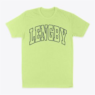 Lengby Minnesota Trendy Block Classic Dad T-Shirt