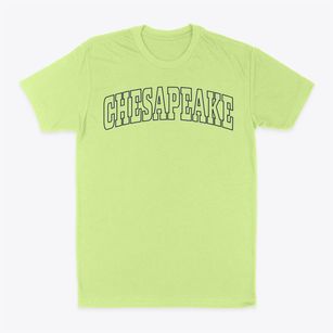 Chesapeake Missouri Trendy Block Classic Dad T-Shirt