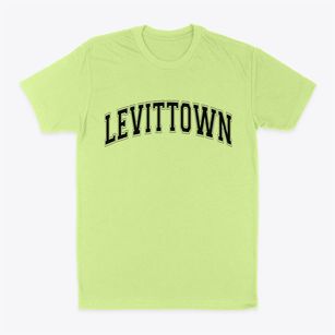 Levittown New York Varsity Classic Dad T-Shirt