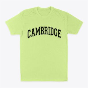 Cambridge Vermont Varsity Classic Dad T-Shirt