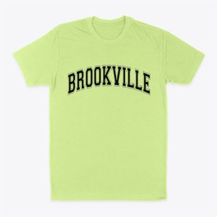 Brookville New York Varsity Classic Dad T-Shirt