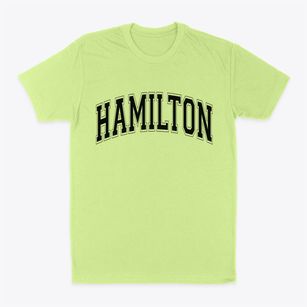 Hamilton Wisconsin Varsity Classic Dad T-Shirt