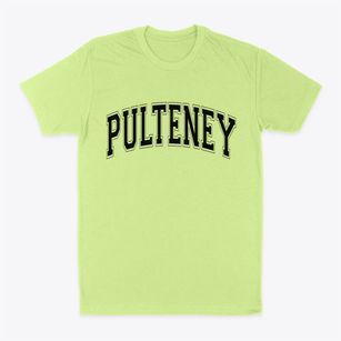 Pulteney New York Varsity Classic Dad T-Shirt