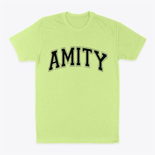 Amity Arkansas Varsity Classic Dad T-Shirt