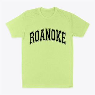 Roanoke Virginia Varsity Classic Dad T-Shirt