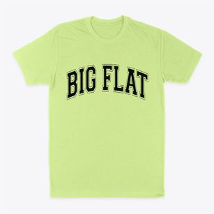 Big Flat Arkansas Varsity Classic Dad T-Shirt