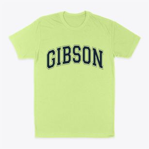 Gibson Arkansas Varsity Classic Dad T-Shirt