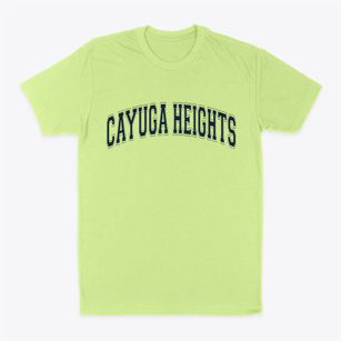 Cayuga Heights New York Varsity Classic Dad T-Shirt