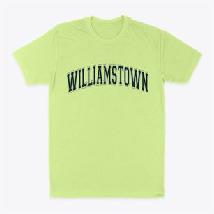 Williamstown Vermont Varsity Classic Dad T-Shirt