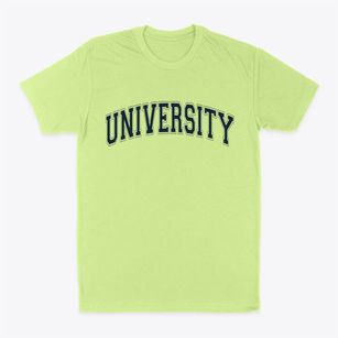 University Florida Varsity Classic Dad T-Shirt