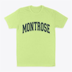 Montrose New York Varsity Classic Dad T-Shirt